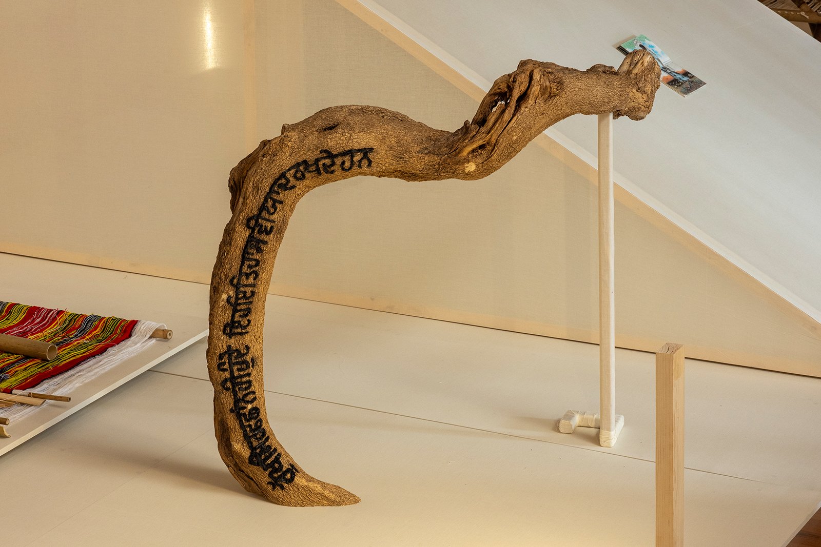 Bitter Nector-7_Sustaina_3